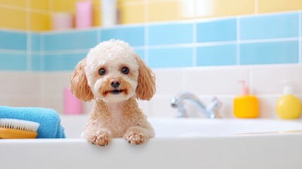 A cute dog enjoys a bath in a colorful bathroom, appearing curious and happy while resting its paws on the tub's edge.