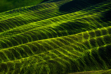 Vibrant image showcasing lush green rolling hills with distinct patterns, sunlight enhancing the texture and atmosphere of the picturesque terraced landscape. 