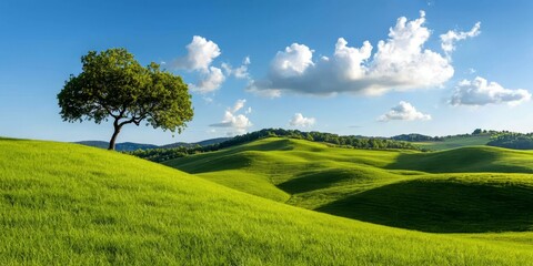 Obraz premium Lush Green Hills with Isolated Tree and Blue Sky Under Clouds