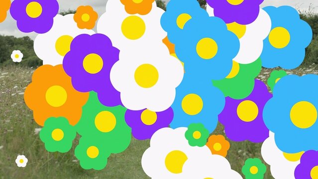 Playful Hand Drawn Flowers Transition