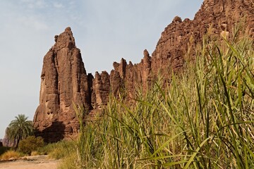Wadi Al Disah is located in Prince Mohammed bin Salman Natural Reserve. Tabuk region. Saudi Arabia....
