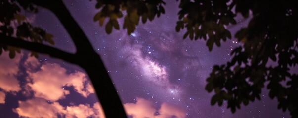 Milky Way Galaxy Seen Through Tree Branches And Clouds Above