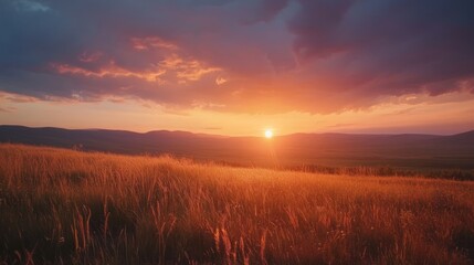 Fototapeta premium Golden Sunset Over Grassy Hills