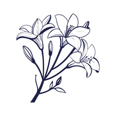 Cambodia Flower Silhouette Vector Graphic Clipart Isolated Illustration