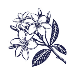 Cambodia Flower Silhouette Vector Graphic Clipart Isolated Illustration