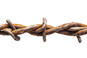 Rusty barbed wire close up on transparent background