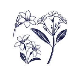 Cambodia Flower Silhouette Vector Graphic Clipart Isolated Illustration