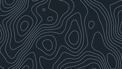 Black and white background, abstract lines background. Abstract black and white topographic pattern with wavy lines and layers