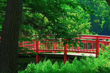 Obraz premium 赤い橋