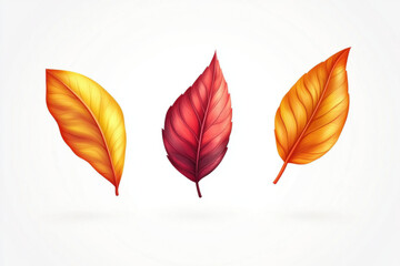 Colorful autumn leaves in yellow, red, and orange hues, showcasing beauty of fall. These vibrant leaves are perfect for seasonal decor and nature themed designs