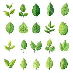 Green leaf vector icon set isolated on white background, simple flat design logo style. Collection of green tea leaves symbols for natural, organic products, and environmental protection concepts. Per