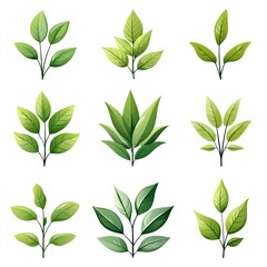 Green leaf vector icon set isolated on white background, simple flat design logo style. Collection of green tea leaves symbols for natural, organic products, and environmental protection concepts. Per