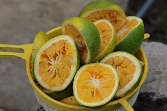 Una toma de cerca de varias naranjas cortadas dentro de un colador amarillo para hacer jugo de naranja 