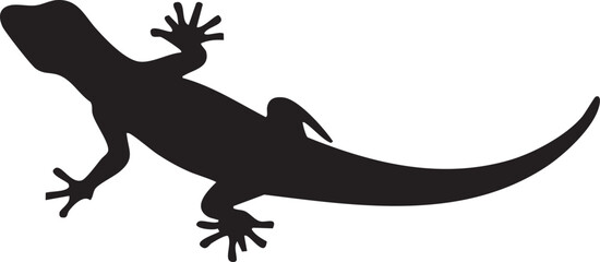 Fototapeta premium silhouette of a lizard