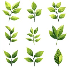 Green leaf vector icon set isolated on white background, simple flat design logo style. Collection of green tea leaves symbols for natural, organic products, and environmental protection concepts. Per