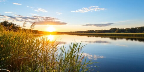 Serene Landscape Wild Meadows and Tall Grass at Sunrise with Natural Textures - Eco Tourism Visuals and Mindful Living Inspiration for Nature Enthusiasts