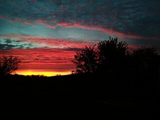 Sunrise over the trees