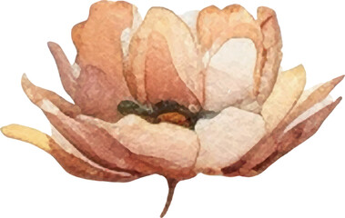 Fototapeta premium Vector Watercolor painted flower illustration. Hand drawn flower design elements isolated on white background.