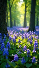 Obraz premium Dense bluebell display in sun-dappled woodland, nature, delicate