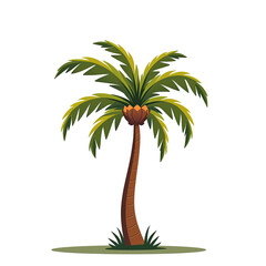 Lush cartoon coconut palm tree with coconuts growing on transparent background, perfect for tropical and summer projects