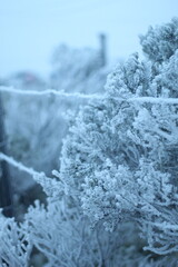 neve e sincelo acumulados no morro das antenas em urupema, santa catarina