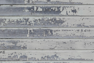Fototapeta premium Peeling white paint on an old wooden wall.