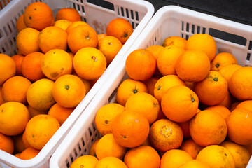 Life lifestyle traditional hawker stall for sale Citrus sinensis mandarin oranges fruit in plastic...