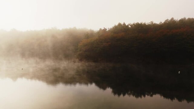 Mt. Fuij Japan Drone