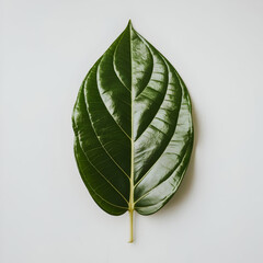 Vibrant Green Leaf with Detailed Veins on White Background