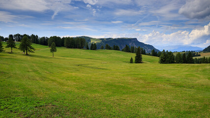 pascoli all'alpe di Siusi © Roberto Zocchi