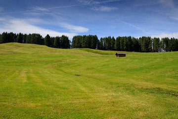 pascoli all'alpe di Siusi © Roberto Zocchi