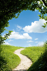 Obraz premium winding path leads through lush green grass under bright blue sky with fluffy clouds, framed by leafy branches