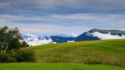 pascoli all'alpe di Siusi © Roberto Zocchi