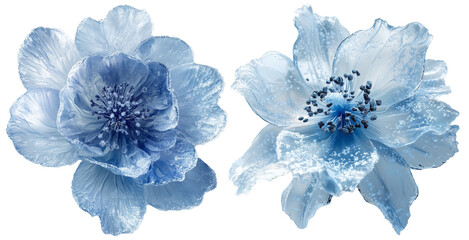 Ethereal Abstract Flowers: From Frost to Cosmic Blooms
