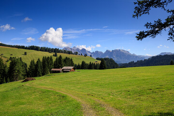 pascoli all'alpe di Siusi © Roberto Zocchi