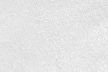 White grey leather texture background with seamless pattern and high resolution.