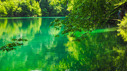 Plitvice national park in summer, Croatia 