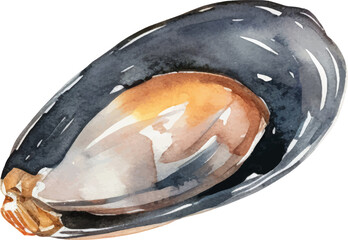 Watercolor painted mussels. Hand drawn fresh seafood design element isolated on white background.
