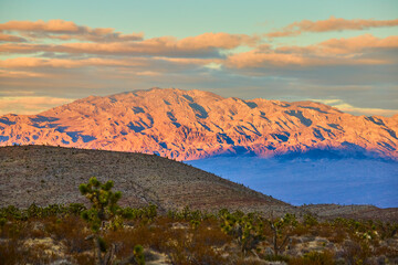 Serene Nevada Desert Mountains at Golden Hour with Joshua Trees