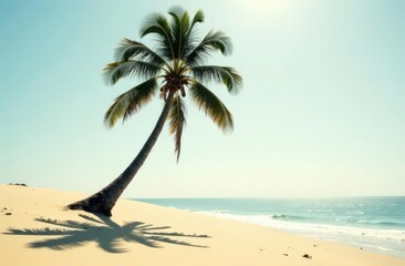Obraz premium tropical beach with palm tree