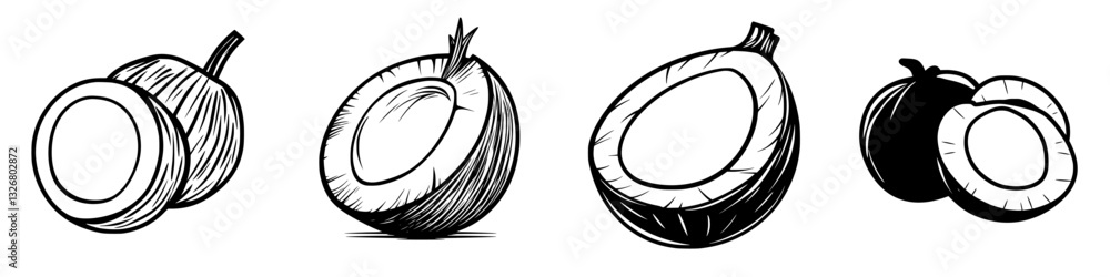 Poster different stages and varieties of coconut showcased in artistic illustrations from various angles in