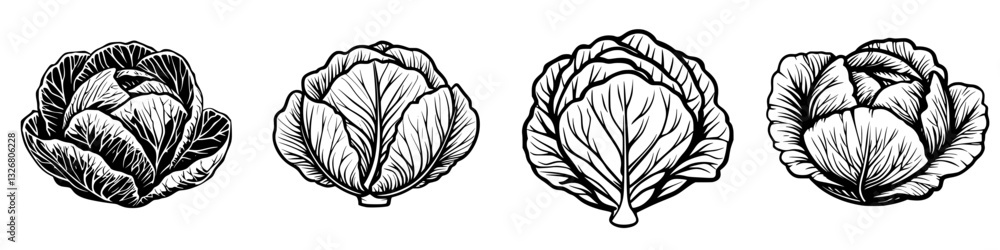 Poster detailed black and white illustrations of various cabbage types showcasing intricate leaf patterns i