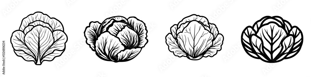 Aufkleber detailed illustrations of various cabbage types showcasing their unique leaf structures and textures