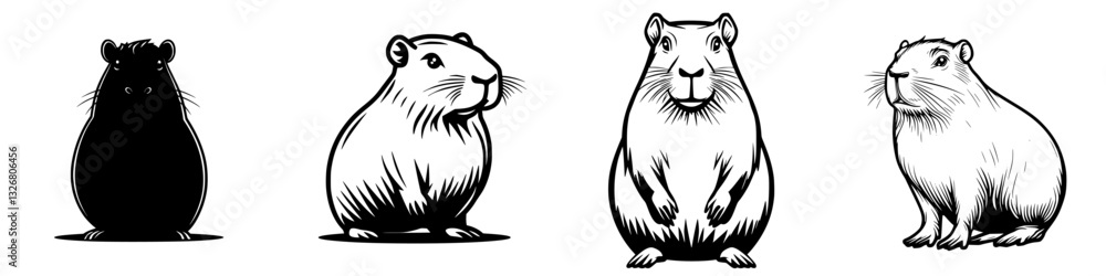 Poster various illustrations of guinea pigs showing different poses and expressions in a simple black and w