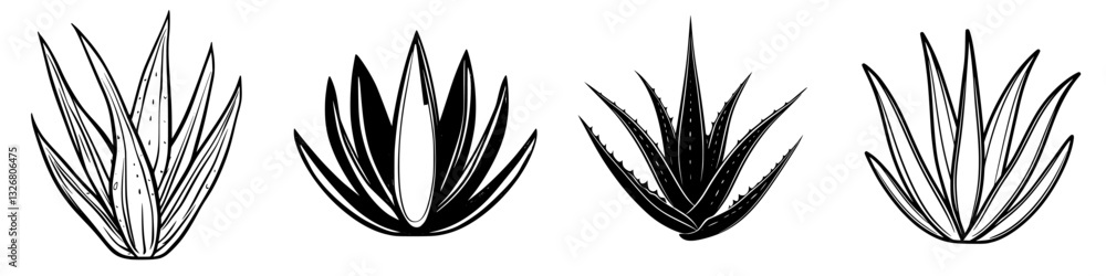 Aufkleber different varieties of aloe plants arranged in a symmetrical pattern showcasing their unique shapes 