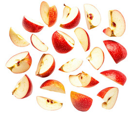 Red Apple Slices Circle Pattern