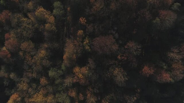 grunge texture background