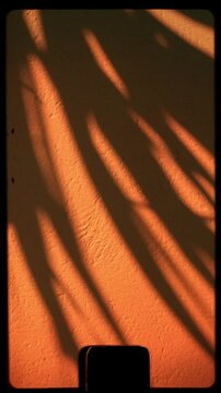 Shadow of palm tree in the wind on oran concrete wall background, retro handheld vintage film frame with sprocket, sun flare, light leak and filmstrip noise in vertical format, story format in 4k