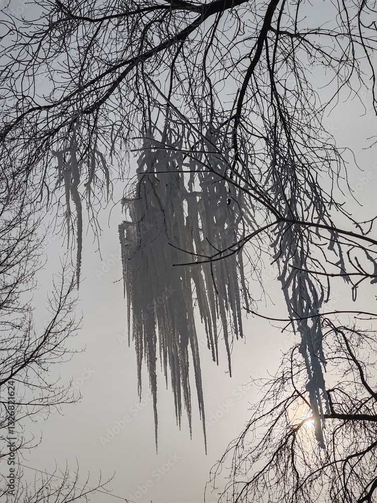 Poster a tree with icicles hanging from it