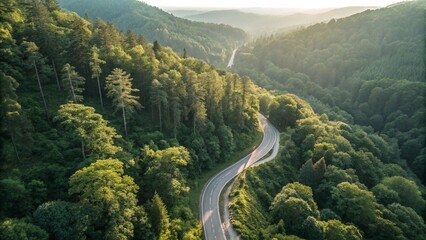 Serpentine asphalt road snaking through a vibrant green forest from a high angle perspective.  The road is the central element in the frame, leading the eye through the dense foliage and capturing the